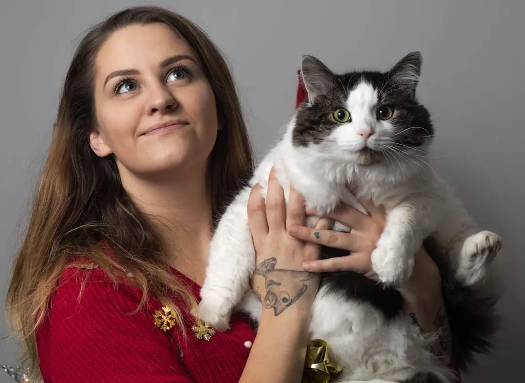 Se varför Lisa Larsons katt blir ditt nya favoritköp illustration